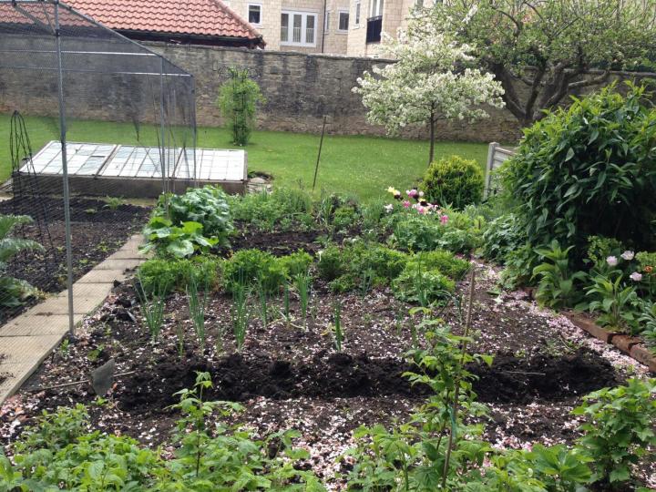 Small-space composting guide Small-Space Composting Guide for Beginners