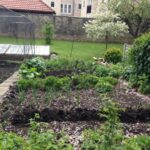 Small-Space Pepper and Chili Gardening Guide