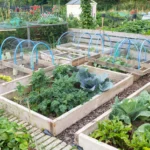 Small-Space Seed Starting for Strong Plants