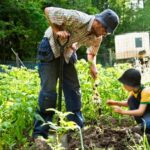 Common Off-Grid Homesteading Myths Debunked