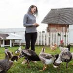 How to Start an Off-Grid Homestead: Step-by-Step Guide