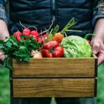 Off-Grid Gardening Tips for Growing Food Anywhere