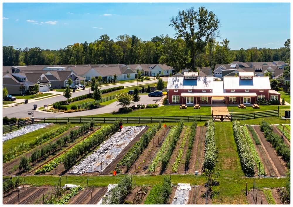 benefits of modern homesteading Top Benefits of Modern Homesteading Today