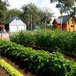 Transitioning to Off-Grid Life: What to Know