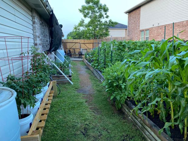 How to manage small-space weeds How to Manage Small-Space Weeds Naturally