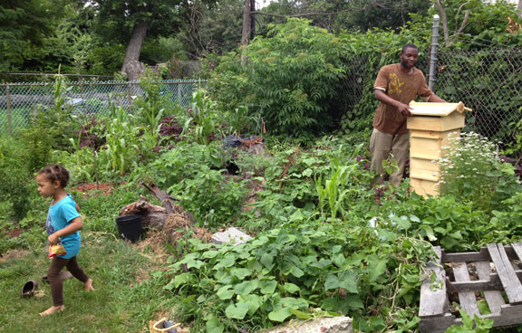 How to use cover crops in small gardens How to Use Cover Crops in Small Gardens