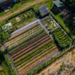 Modern Homestead Layout Ideas for Efficiency