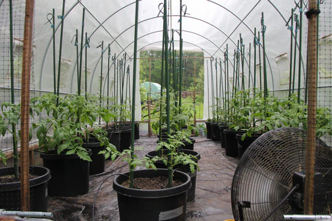 modern homesteading biodiversity importance Modern Homesteading Biodiversity Importance