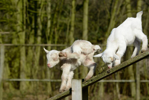 modern homesteading candle making basics Modern Homesteading Candle Making Basics