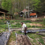 Modern Homesteading Community Building Ideas