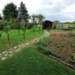 Modern Homesteading Efficient Space Planning