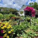 Modern Homesteading Food Independence Guide