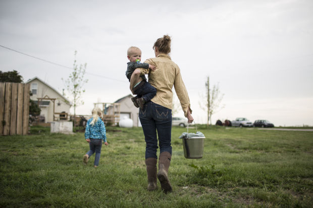 modern homesteading food storage guide Modern Homesteading Food Storage Guide