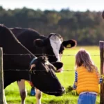 Modern Homesteading Gardening Calendar