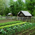 Modern Homesteading Herbal Garden Ideas