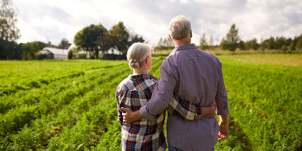 modern homesteading herbal garden ideas Modern Homesteading Herbal Garden Ideas