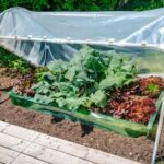 Modern Homesteading Home Organization Tips