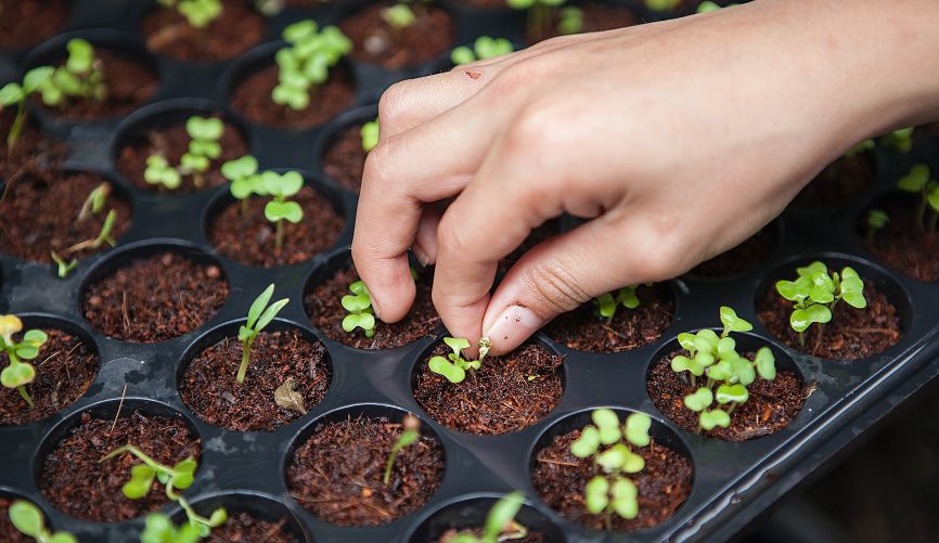 modern homesteading renewable energy basics Modern Homesteading Renewable Energy Basics