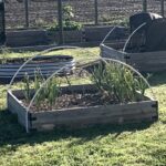 Modern Homesteading Rooftop Gardening Guide