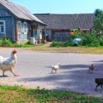 Modern Homesteading Winter Preparation Guide