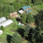 Off-Grid Water Filtration Methods for Safe Drinking Water