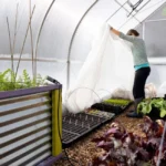 Small-Space Micro-Farming for Urban Homes