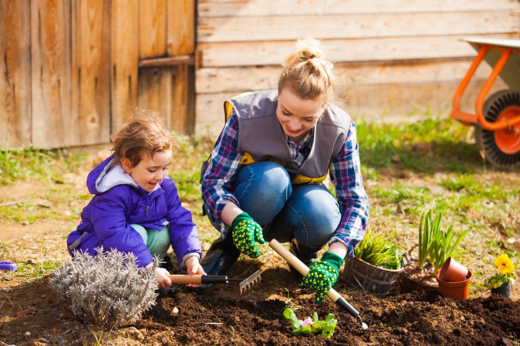 best companion plants for tomatoes Best Companion Plants for Tomatoes to Boost Growth