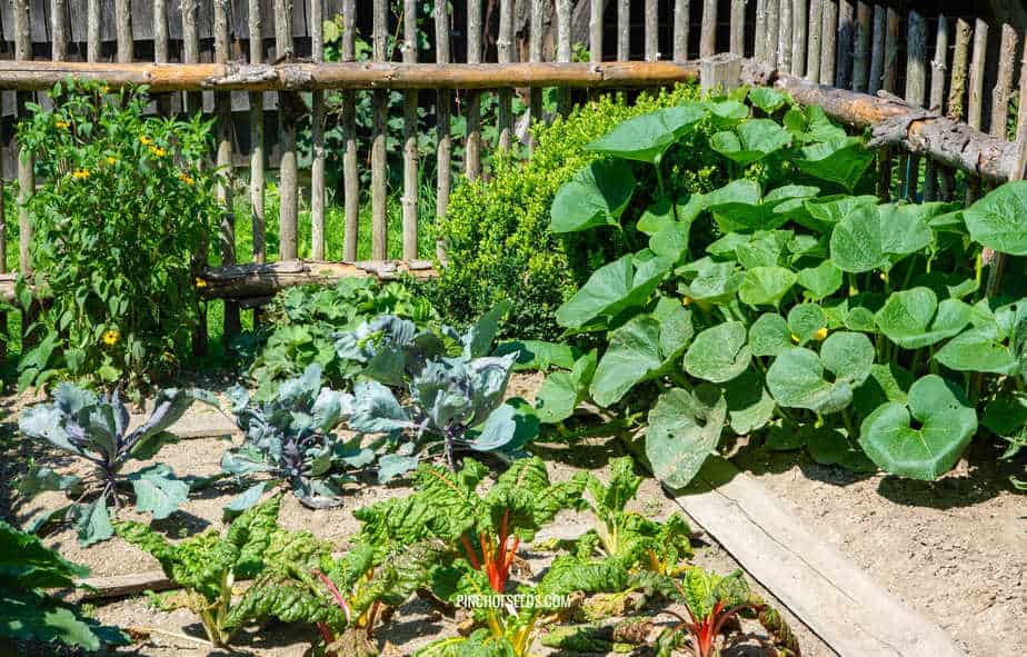 how to adjust soil pH for vegetables How to Adjust Soil pH for Vegetables: Easy Amendments