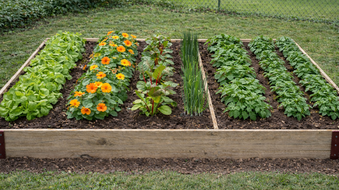 how to build a raised garden bed How to Build a Raised Garden Bed: A DIY Step-by-Step