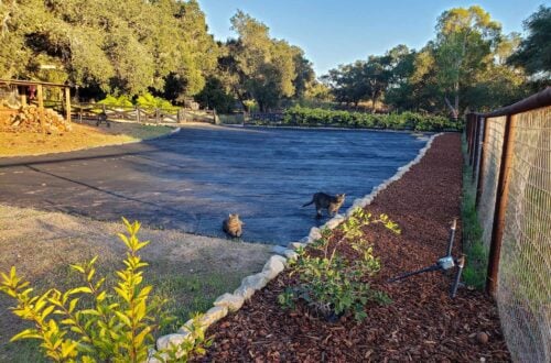 How to create garden microclimates How to Create Garden Microclimates in Small Areas
