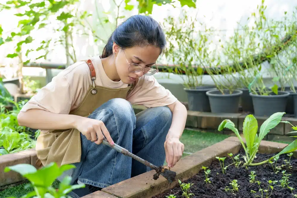 how to grow vegetables from scraps How to Grow Vegetables from Scraps: Kitchen Regrowing