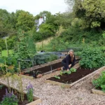 How to Install Drip Irrigation Systems: A DIY Tutorial