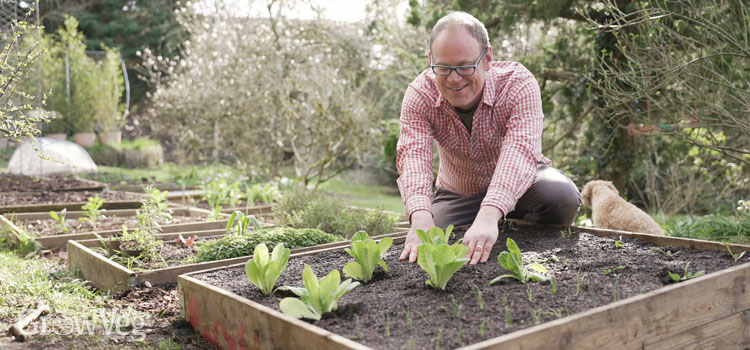 how to maximize small garden space How to Maximize Small Garden Space: High-Intensity Tips