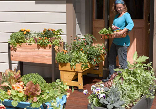how to prepare soil for planting vegetables How to Prepare Soil for Planting Vegetables: A Pro Guide