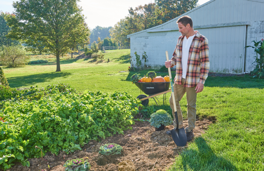 how to prevent pests in vegetable garden How to Prevent Pests in Vegetable Gardens: Proactive Tips