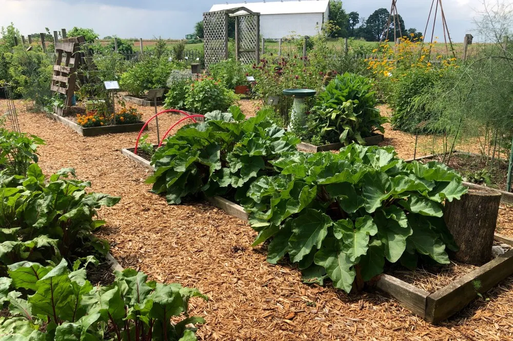 how to reuse household items for gardening How to Reuse Household Items for Gardening and Planting