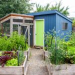 Modern Homesteading Food Forest Basics