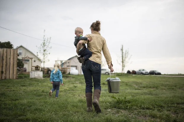 modern homesteading for urban dwellers Modern Homesteading for Urban Dwellers Guide