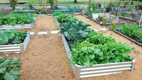 modern homesteading home maintenance checklist Modern Homesteading Home Maintenance Checklist