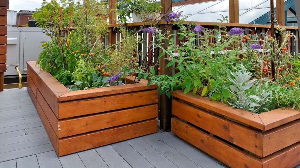 modern homesteading lifestyle challenges Modern Homesteading Lifestyle Challenges