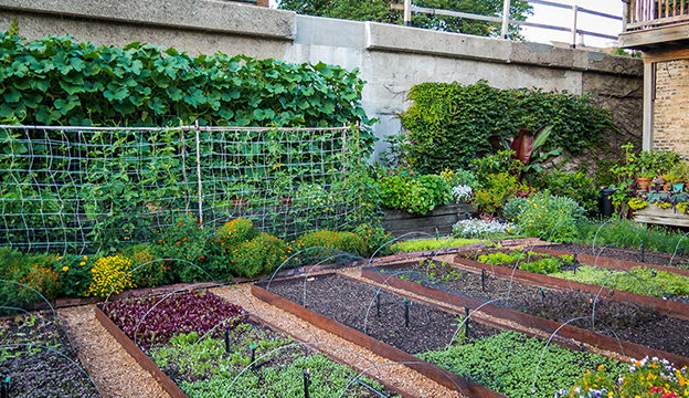 modern homesteading on small land Modern Homesteading on Small Land: Smart Tips
