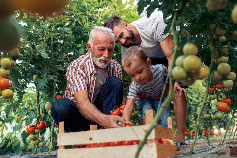 modern homesteading on small land Modern Homesteading on Small Land: Smart Tips