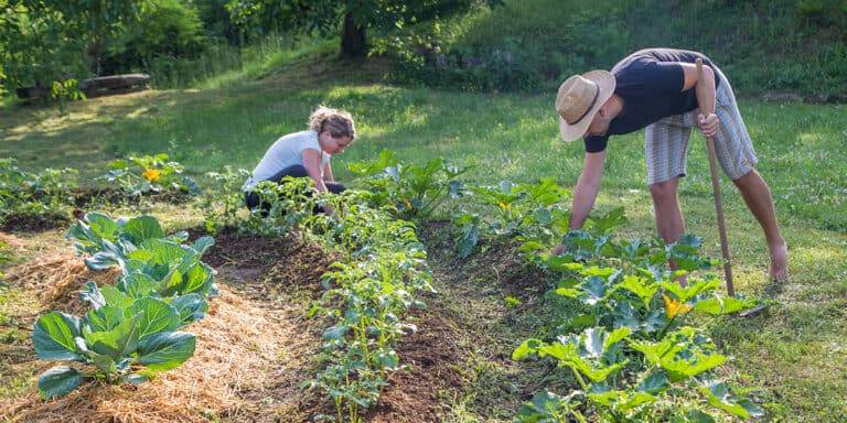 off-grid homesteading skills Off-Grid Homesteading Skills Everyone Should Learn