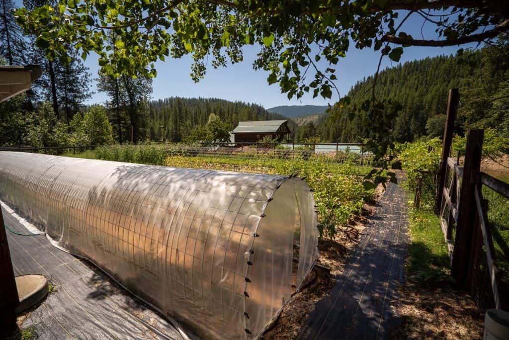 raising rabbits off-grid Raising Rabbits Off-Grid for Meat and Sustainability