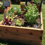 Small-Space Solar Power for Gardening Needs