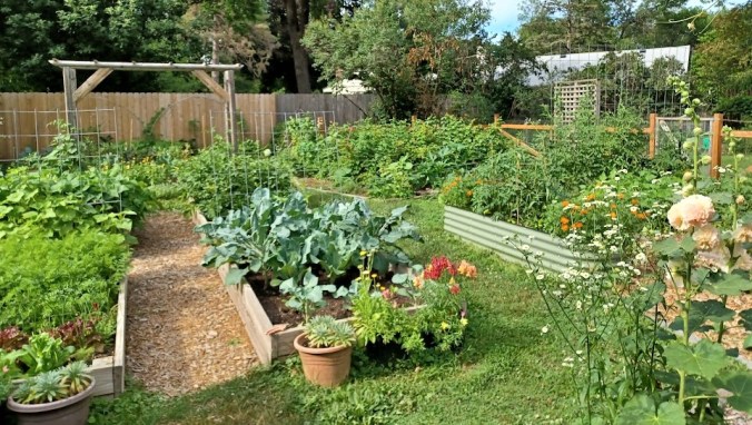 Small-space solar power for gardening Small-Space Solar Power for Gardening Needs