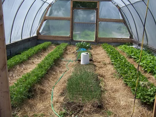 Small-space urban homesteading Small-Space Urban Homesteading Explained