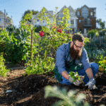 The Ultimate Companion Planting Chart for Vegetables