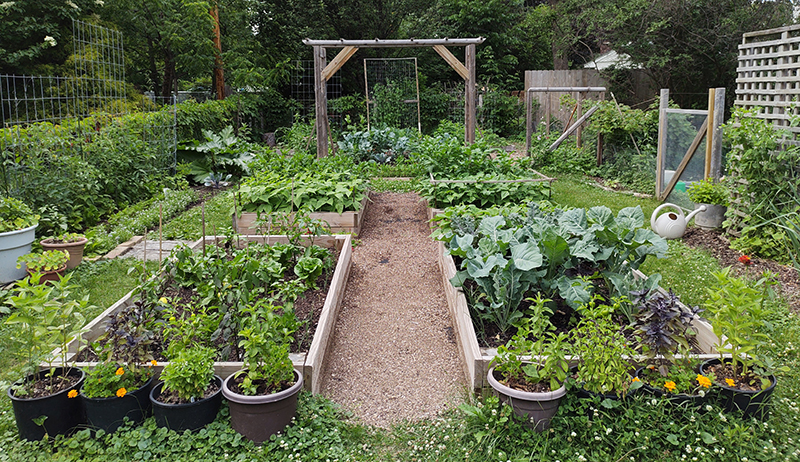what vegetables grow well together What Vegetables Grow Well Together: A Compatibility Guide