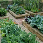 Small-Space Companion Planting Explained